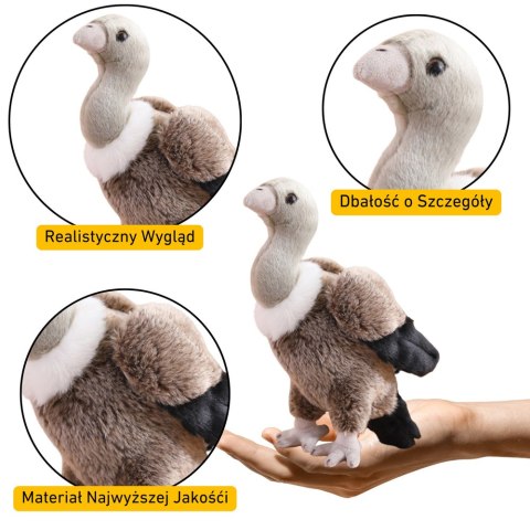 Pluszowy Sęp Ptak Pluszak Maskotka Przytulanka 25cm Pluszowy Sęp Ptak Pluszak Maskotka Przytulanka 25cm