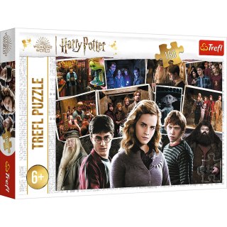 Puzzle - 160 - Harry Potter i przyjaciele - Trefl 15418