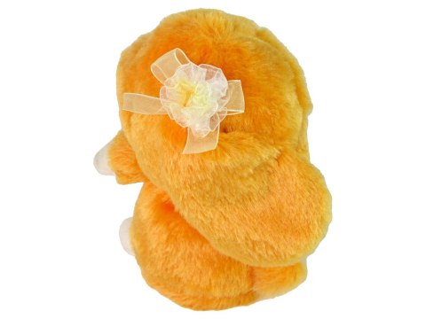 Tańczący Królik Powtarza Dźwięki Muzyka Pomarańcz Tańczący Królik Powtarza Dźwięki Muzyka Pomarańcz