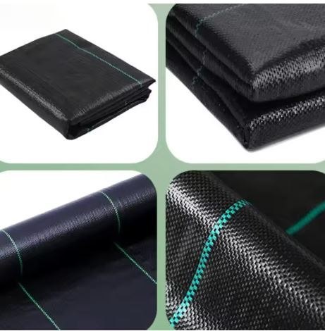 Agrotkanina Czarna 100 cm x50m UV 70g Antychwastowa Agrowłóknina + Kotwy Agrotkanina Czarna 100 cm x50m UV 70g Antychwastowa Agrowłóknina + Kotwy