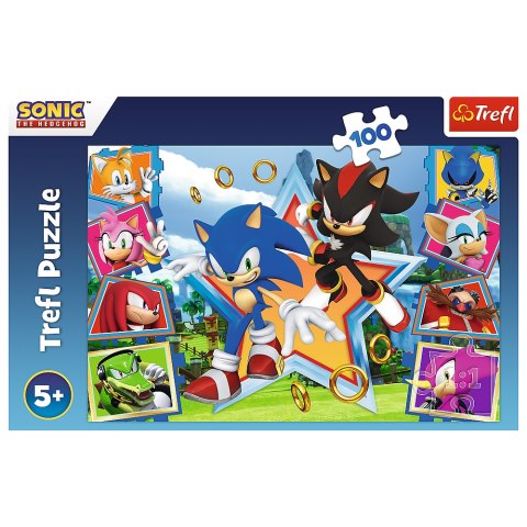 Puzzle - 100 - Poznaj Sonica - Trefl 16465 Puzzle - 100 - Poznaj Sonica - Trefl 16465
