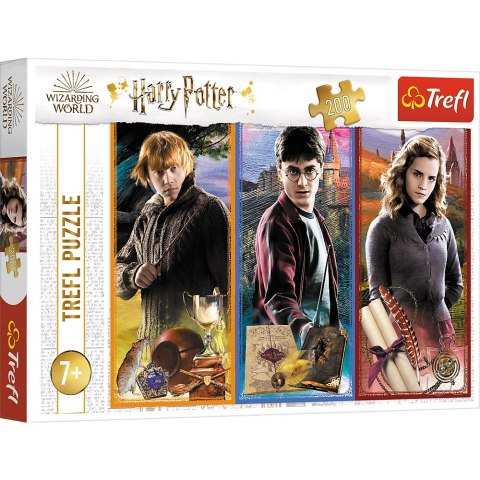 Puzzle - 200 - Harry Potter - W świecie magii i czarów - Trefl 13277