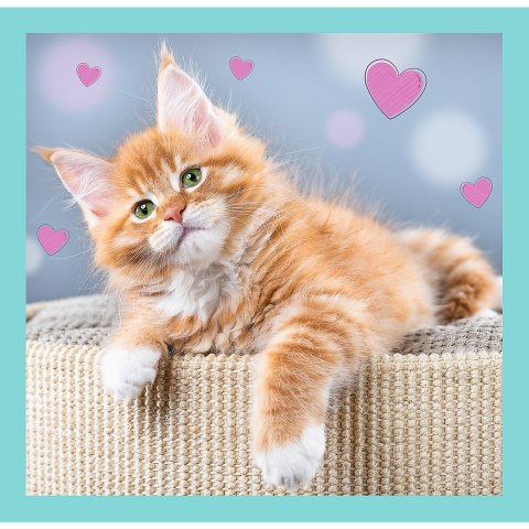 Puzzle - 3w1 (20, 36, 50) - Słodkie zwierzaki - Trefl 34862 Puzzle - 3w1 (20, 36, 50) - Słodkie zwierzaki - Trefl 34862