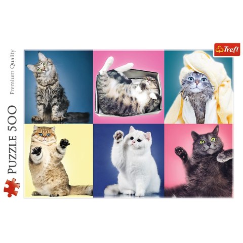 Puzzle - 500 - Kociaki - Trefl 37377 Puzzle - 500 - Kociaki - Trefl 37377