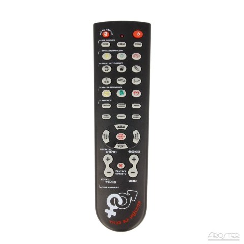 Froster Gadający Pilot Steruj Kobietą prezent dla chłopaka