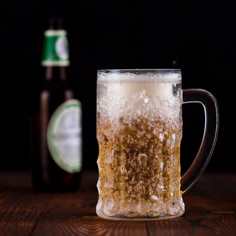 Froster Lodowy Kufel FROSTER MAX Żel do piwa duży grill