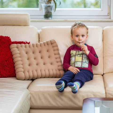Froster Poduszka Gigantyczny Herbatnik