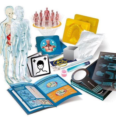 Naukowa Zabawa Super Anatomia Język Polski Clementoni 50919 Naukowa Zabawa Super Anatomia Język Polski Clementoni 50919