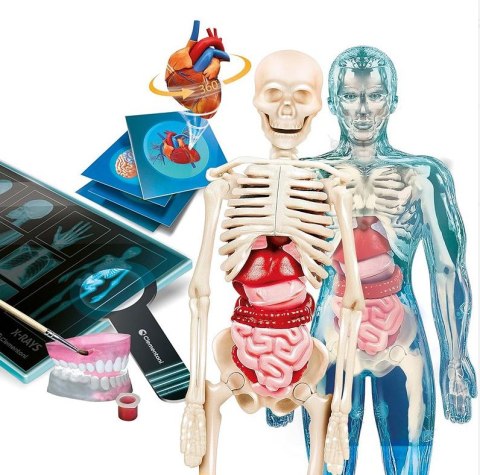 Naukowa Zabawa Super Anatomia Język Polski Clementoni 50919 Naukowa Zabawa Super Anatomia Język Polski Clementoni 50919