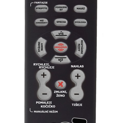 Froster Gadający Pilot - Steruj Kobietą! (CZ)