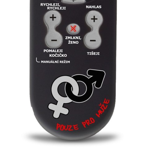 Froster Gadający Pilot - Steruj Kobietą! (CZ)