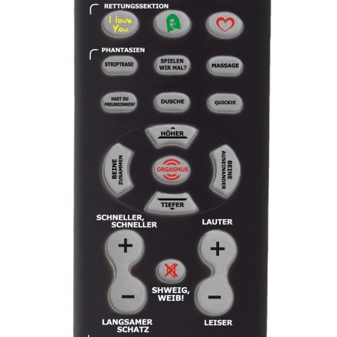 Froster Gadający Pilot - Steruj Kobietą! (DE)