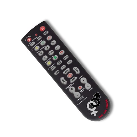 Froster Gadający Pilot - Steruj Kobietą! (DE)