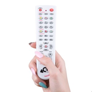 Froster Gadający Pilot - Steruj Mężczyzną! (DE)