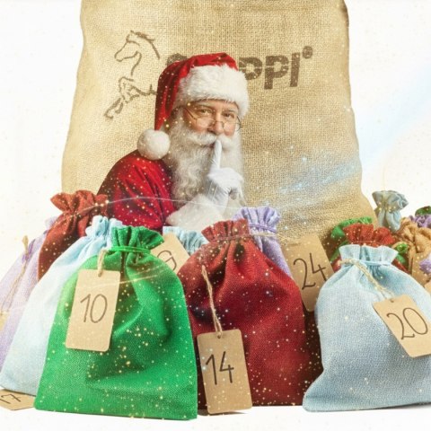 Skippi Kalendarz Adwentowy Hobby Horse Skippi - Start w mikołajki - Szary koń A3